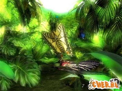 forest.jpg