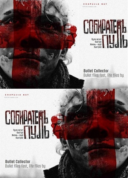 Собиратель пуль (2011) WEBDLRip