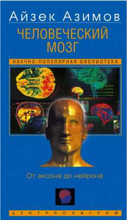 Человеческий мозг
