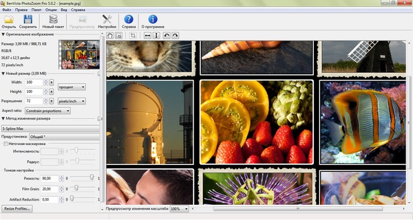 PhotoZoom Professional